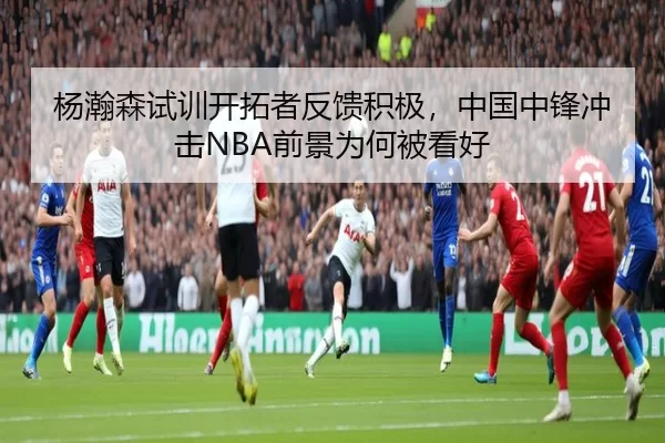 杨瀚森试训开拓者反馈积极，中国中锋冲击NBA前景为何被看好